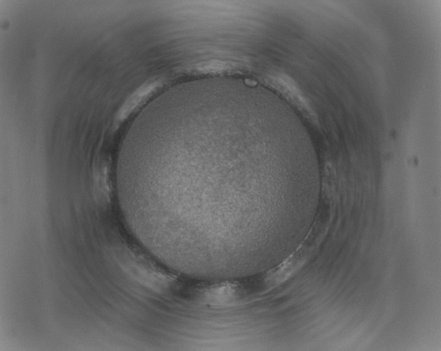 X0000075810116200609221318