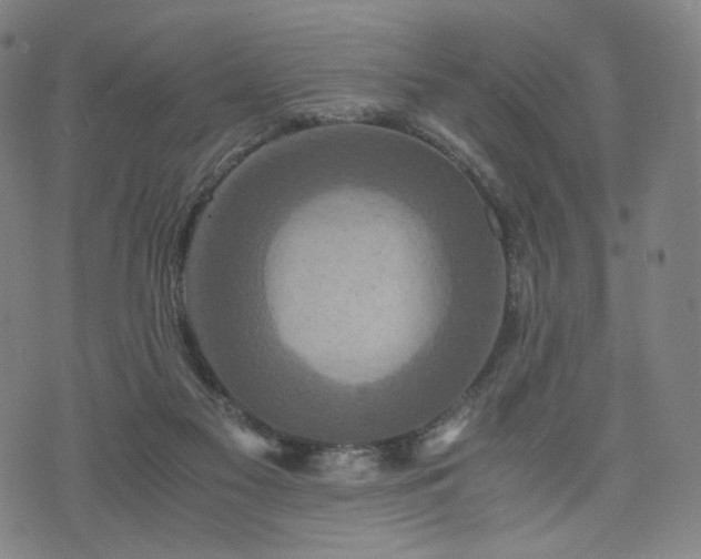 X0000075810117200609221318