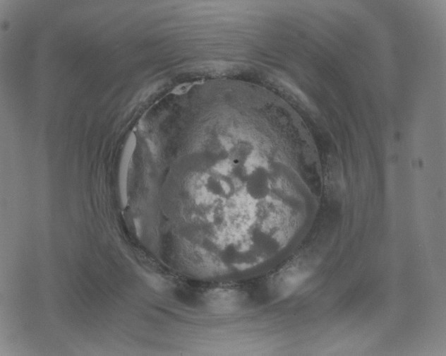 X0000075810119200609221318