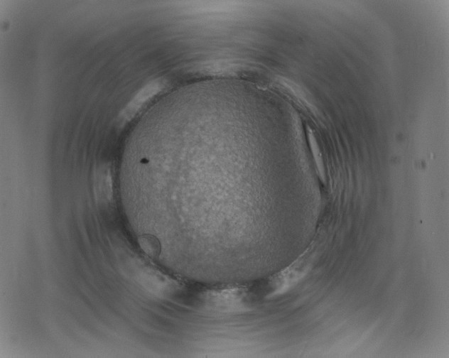 X0000075810120200609221318