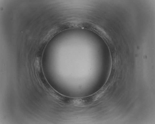 X0000075810121200609221318