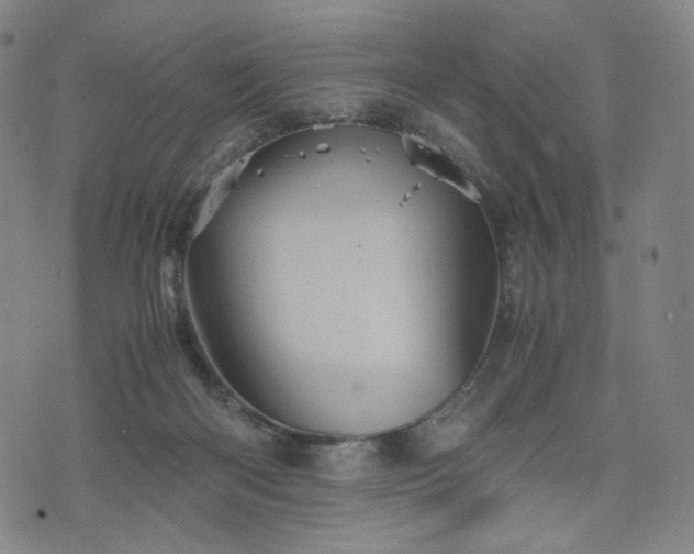 X0000075810122200609221318