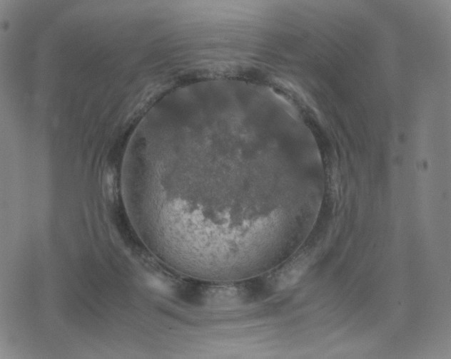 X0000075810123200609221318