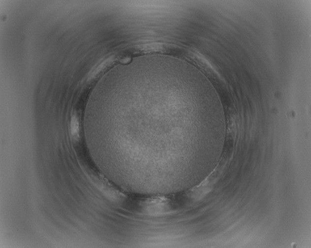 X0000075810124200609221318