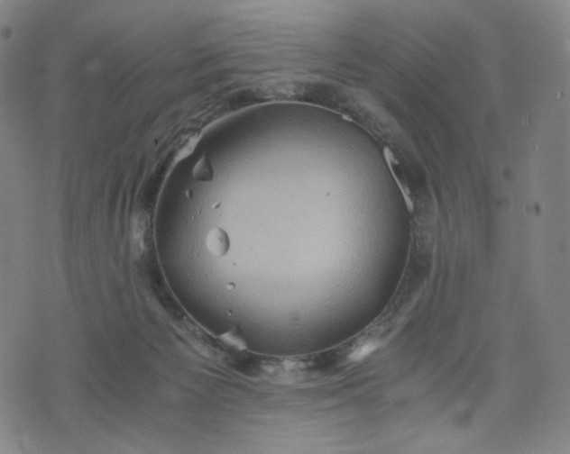 X0000075810125200609221318