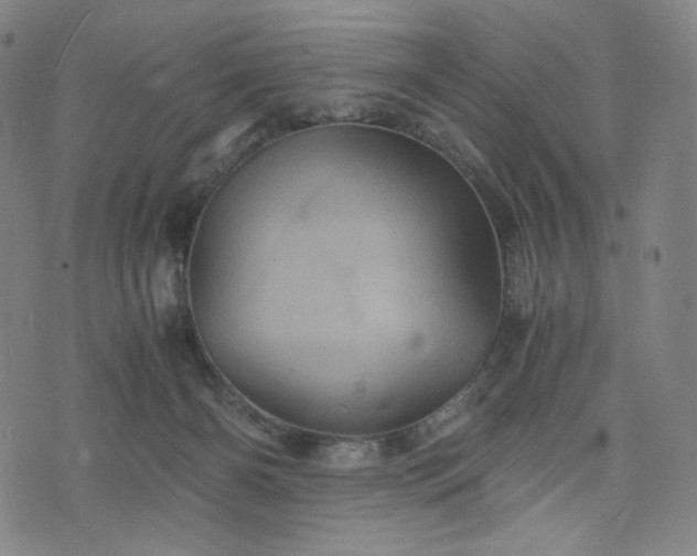 X0000075810126200609221318