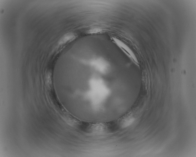 X0000075810127200609221318