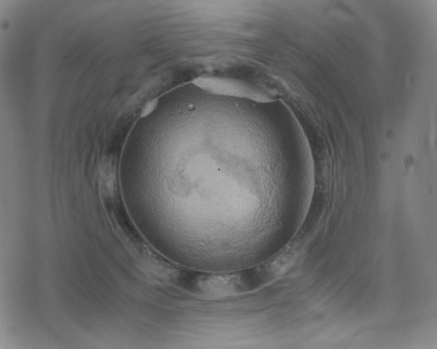 X0000075810129200609221318