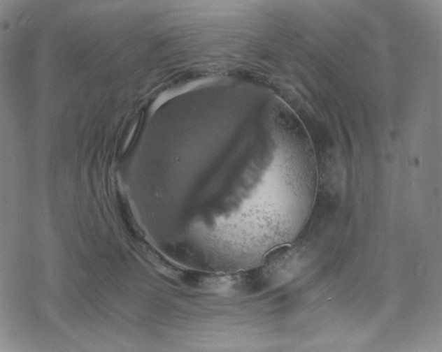 X0000075810131200609221318