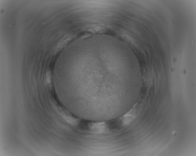 X0000075810132200609221318