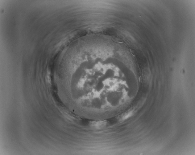 X0000075810135200609221318