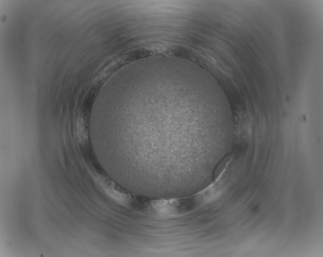 X0000075810136200609221318