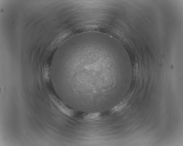 X0000075810138200609221318