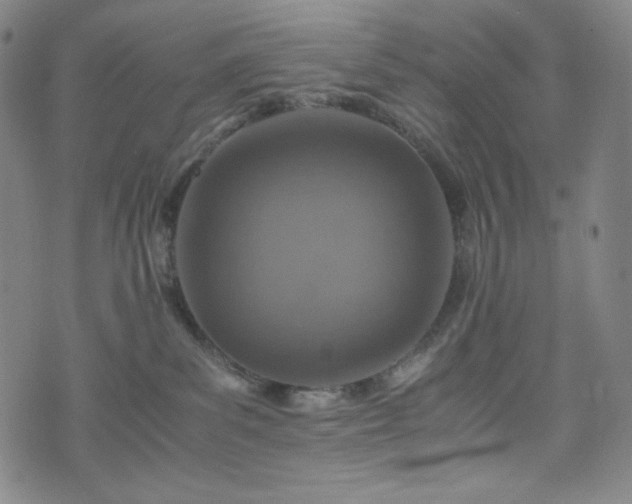 X0000075810139200609221318