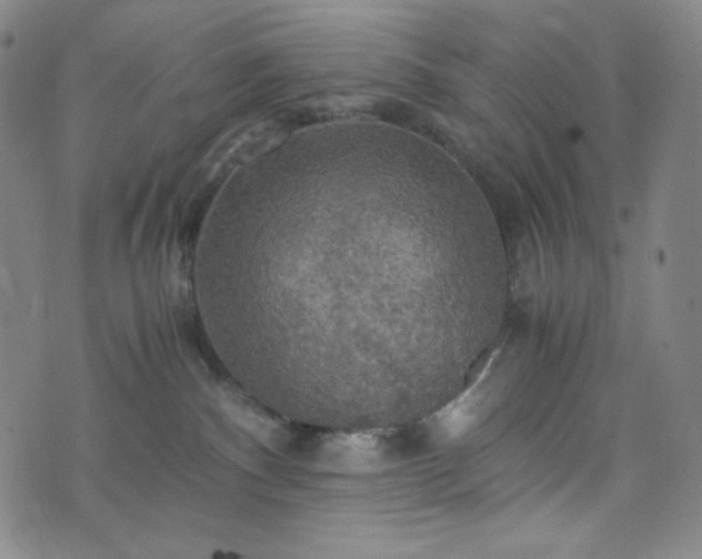 X0000075810140200609221318