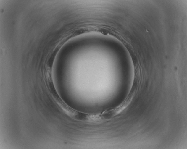 X0000075810141200609221318