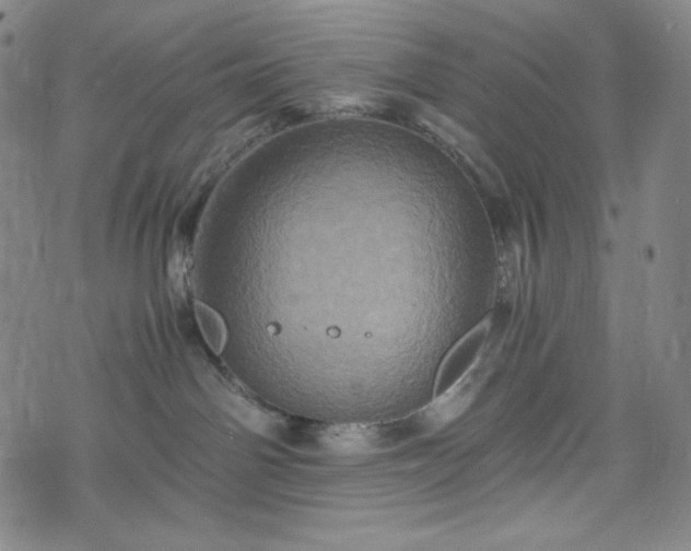 X0000075810142200609221318