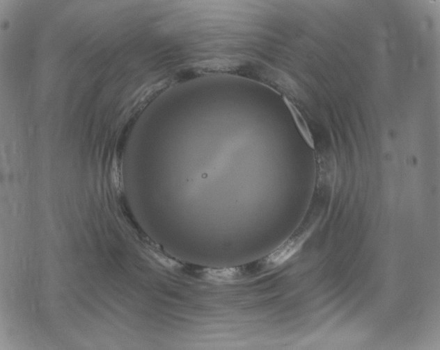 X0000075810143200609221318