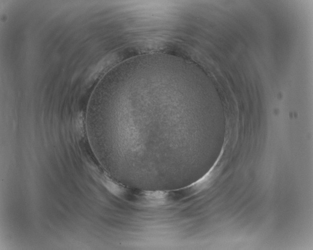 X0000075810144200609221318