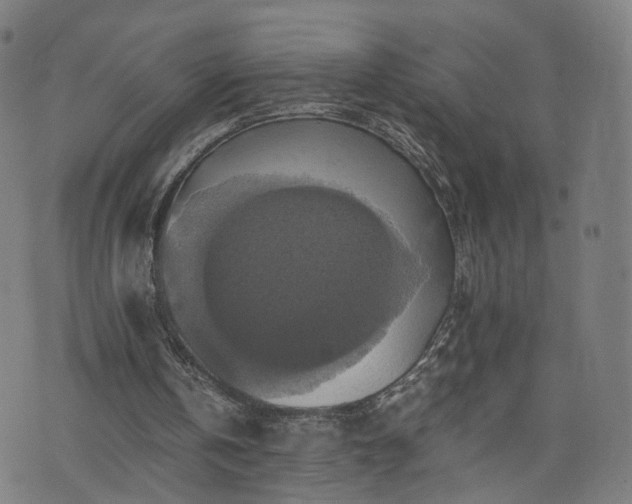 X0000075810146200609221317