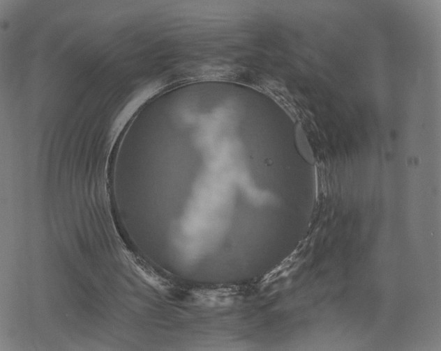 X0000075810147200609221317