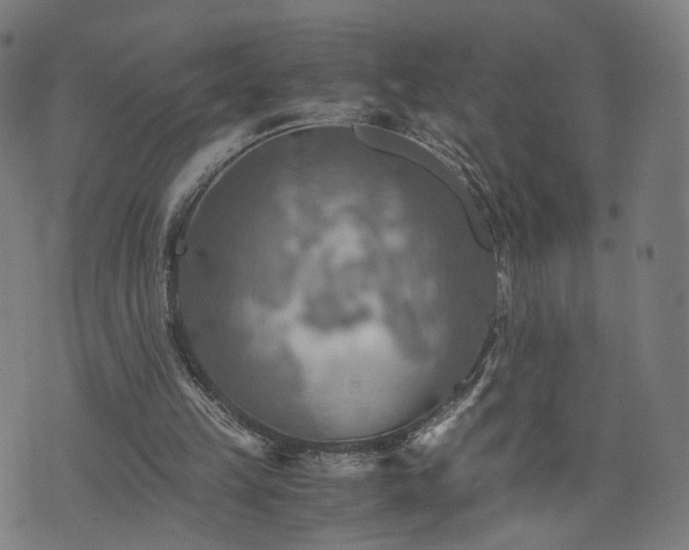 X0000075810149200609221317