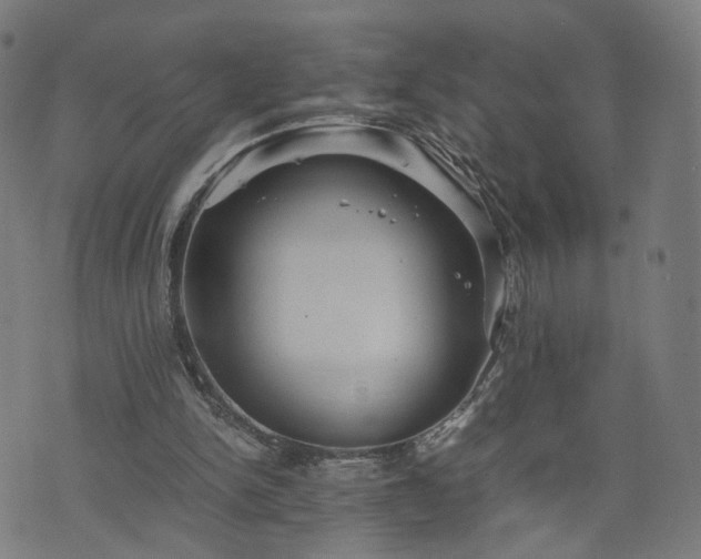 X0000075810150200609221317