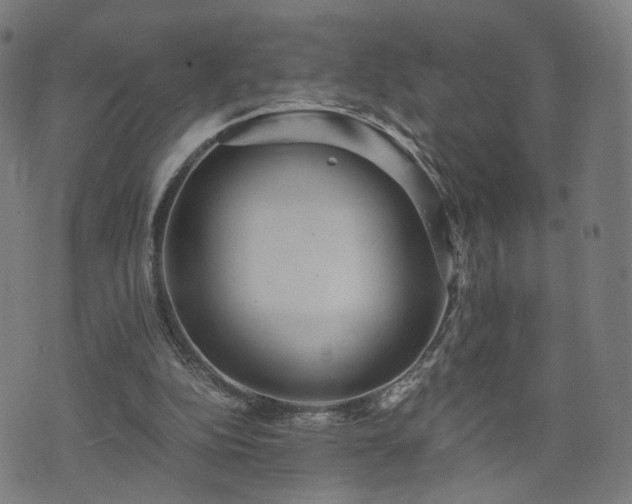 X0000075810152200609221317