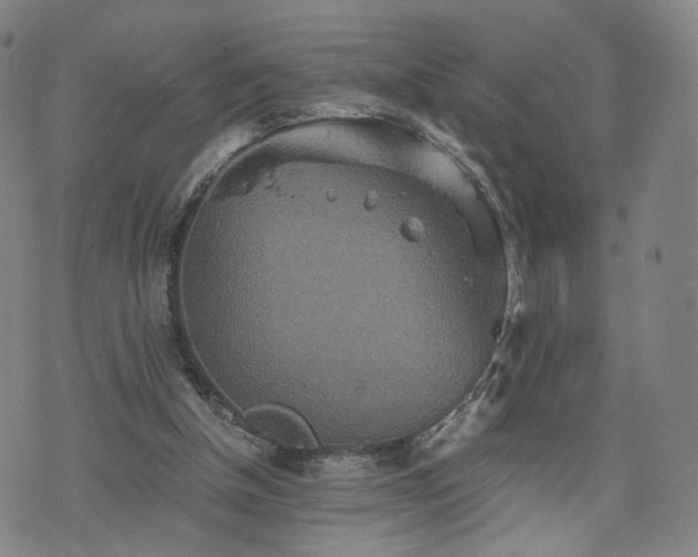 X0000075810154200609221317