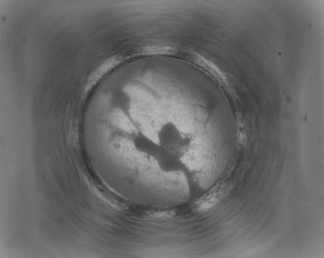 X0000075810155200609221317