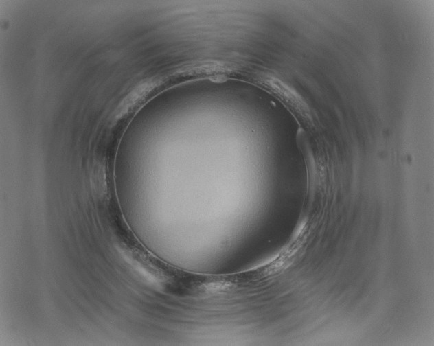 X0000075810158200609221317