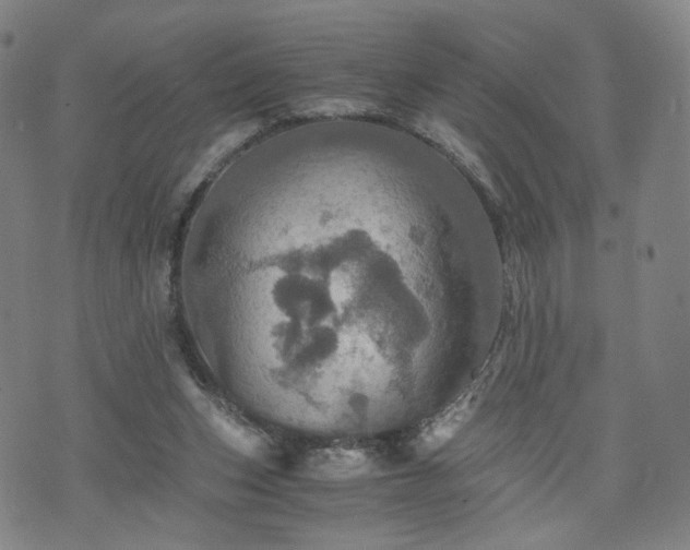 X0000075810159200609221317