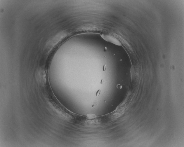 X0000075810160200609221317