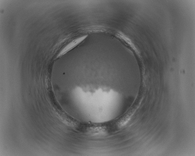 X0000075810161200609221317