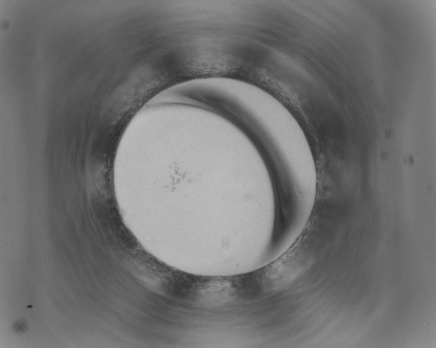 X0000075810162200609221317