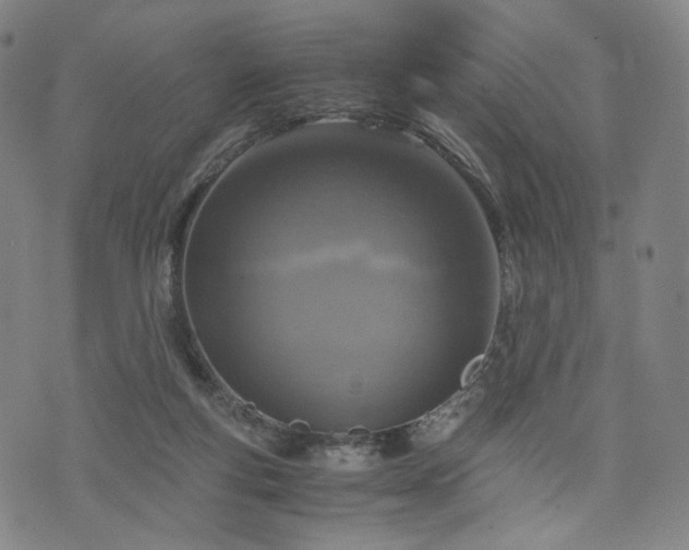 X0000075810163200609221317