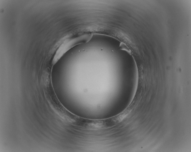 X0000075810164200609221317