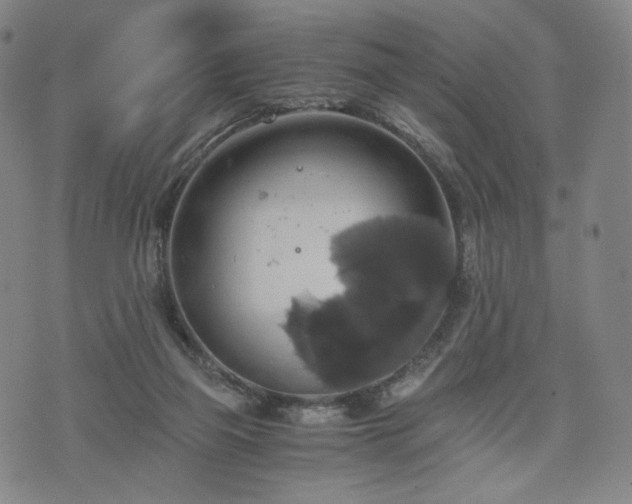 X0000075810165200609221317