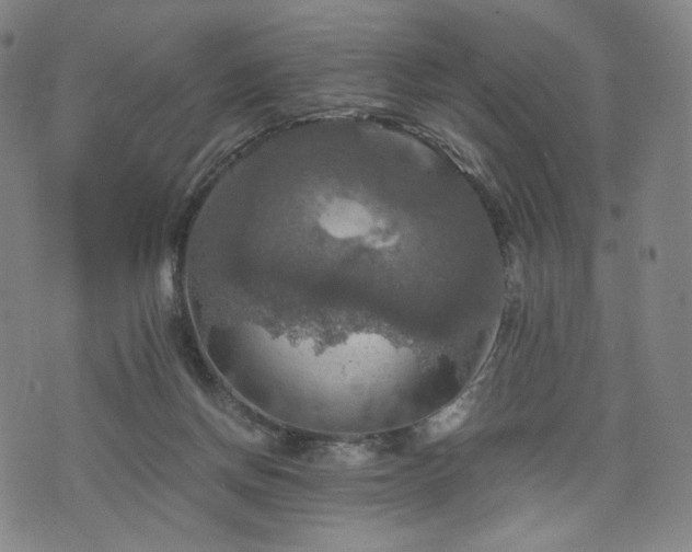 X0000075810166200609221317