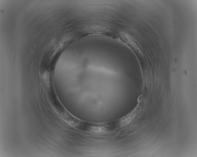 X0000075810167200609221317