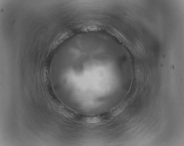 X0000075810169200609221317