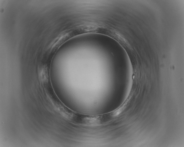 X0000075810170200609221317