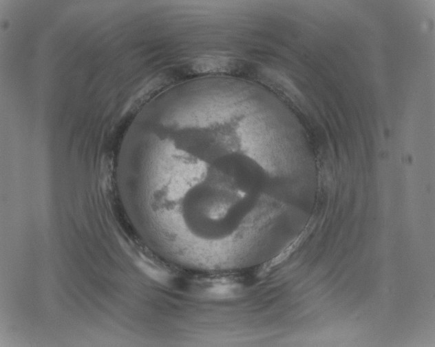 X0000075810171200609221317