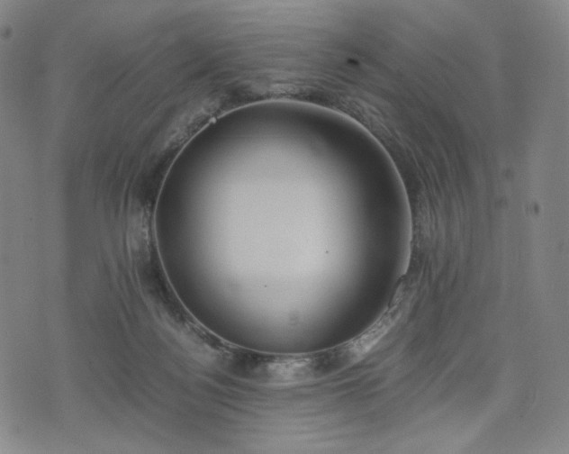 X0000075810172200609221317