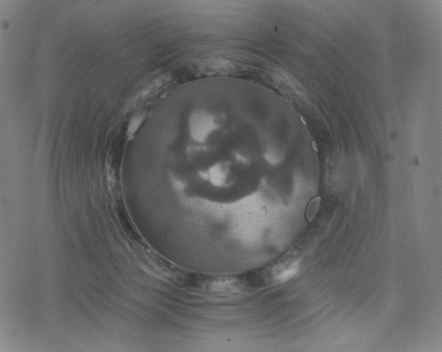 X0000075810173200609221317