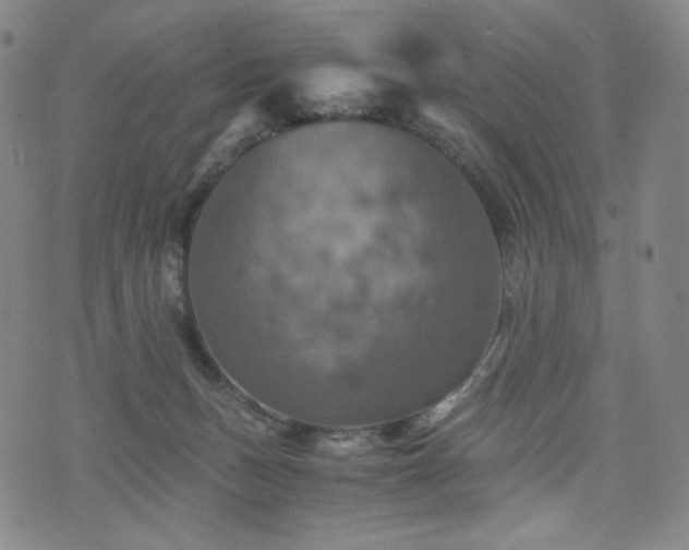 X0000075810175200609221317