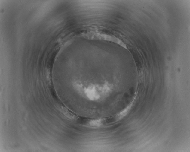 X0000075810178200609221317