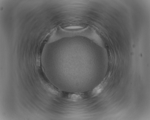 X0000075810180200609221318