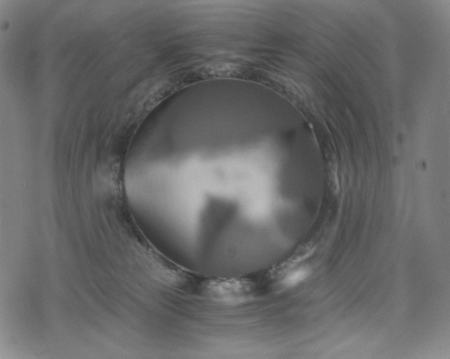 X0000075810181200609221318