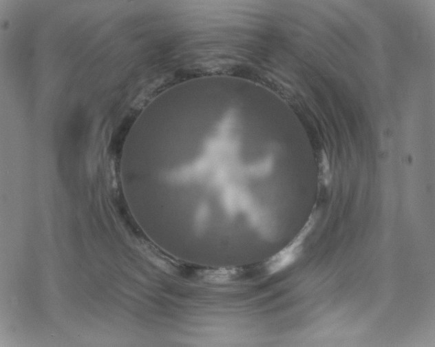 X0000075810182200609221318